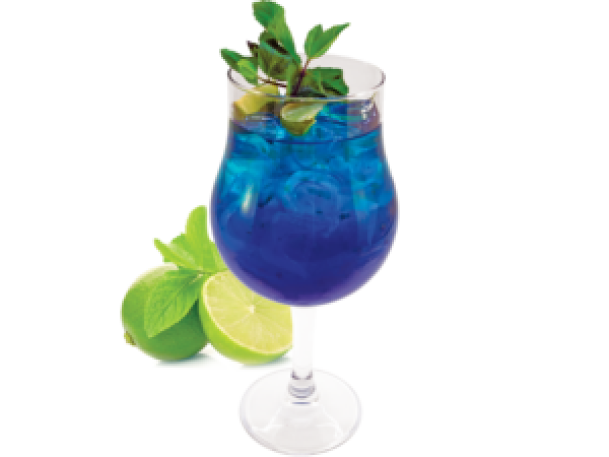 Elderflower Lemonade - 600 мл.